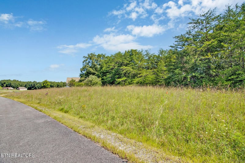 0 Daddys Creek Tr, Crab Orchard, TN 37723