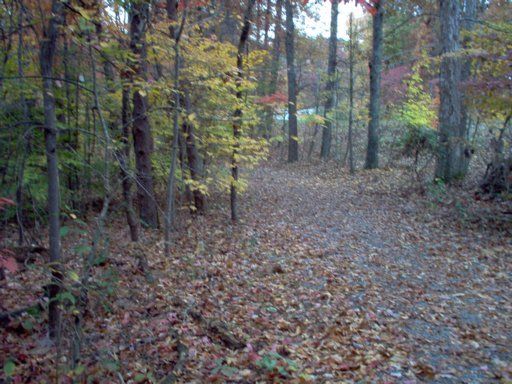 0 Daleyushki Ln, Loudon, TN 37774