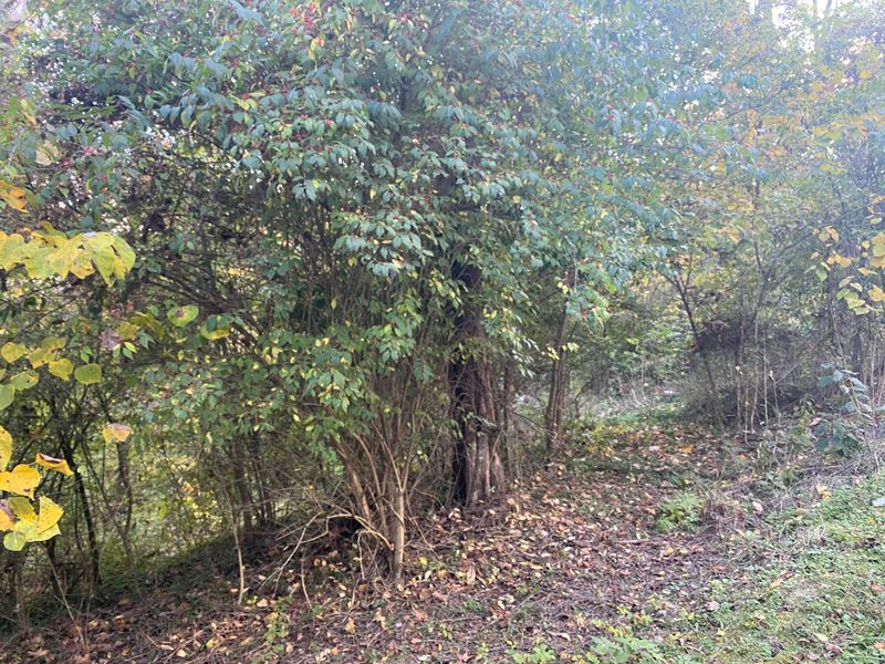 0 Daniel Rd, Knoxville, TN 37920