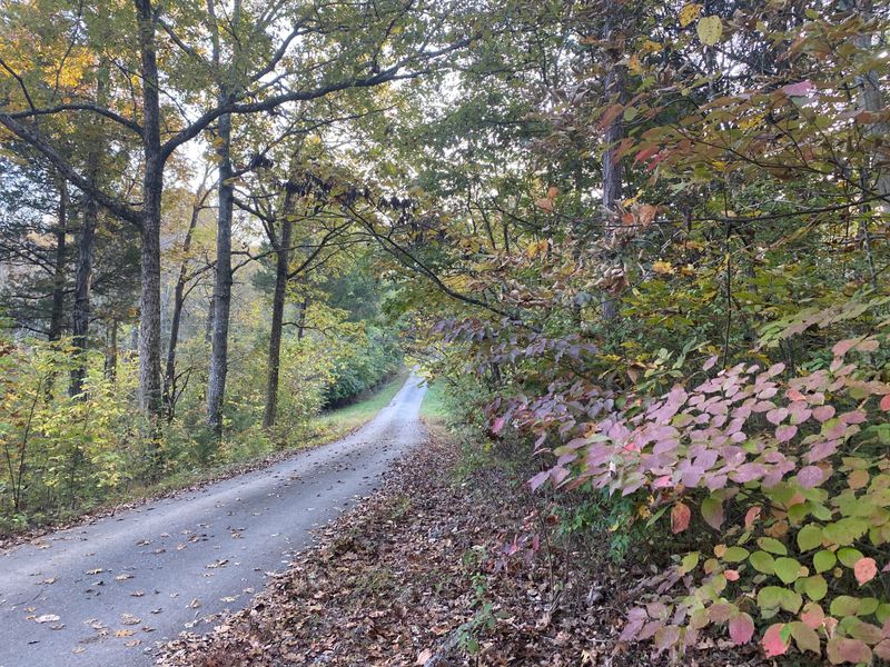 0 Daniel Rd, Knoxville, TN 37920