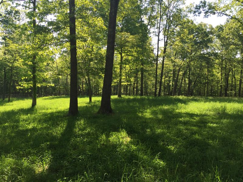 0 Daniel Rd #Tract 6, Kingston, TN 37763
