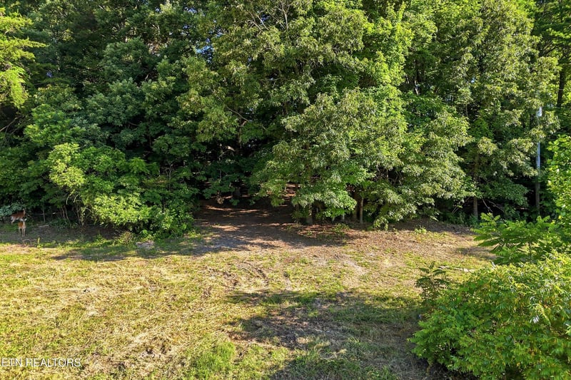 0 Daniels Rd #4, Knoxville, TN 37938