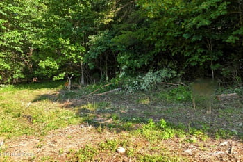 0 Daniels Rd #4, Knoxville, TN 37938