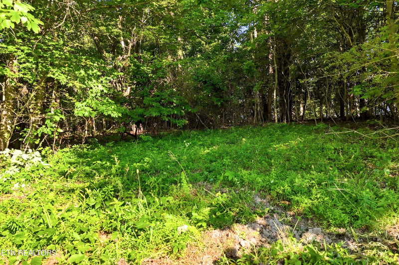 0 Daniels Rd #4, Knoxville, TN 37938