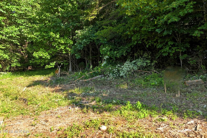 0 Daniels Rd #A, Knoxville, TN 37938