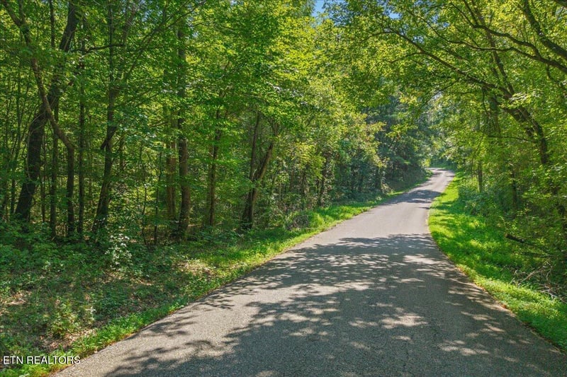 0 Daugherty Springs Road Rd, Tellico Plains, TN 37385