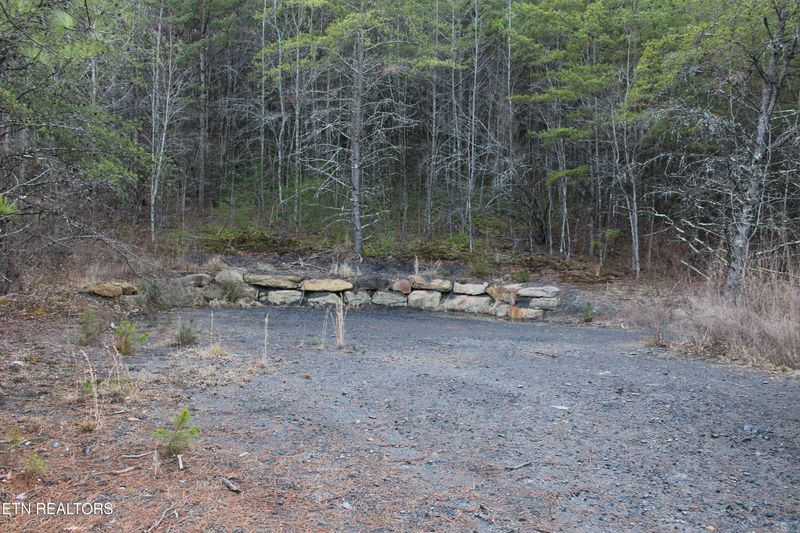 0 Davis Creek Tract 2 Rd, Duff, TN 37729