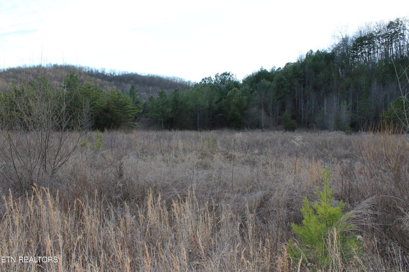 0 Davis Creek Tract 2 Rd, Duff, TN 37729