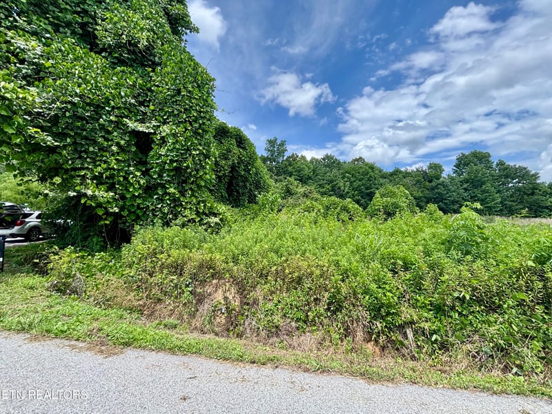 0 Davis Hollow Rd, Harriman, TN 37748