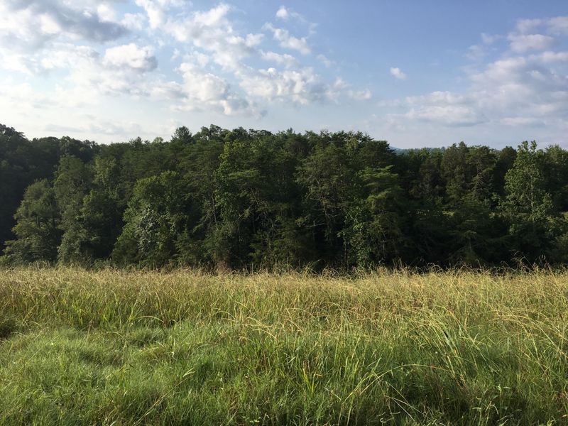 0 Dayne, Sevierville, TN 37876