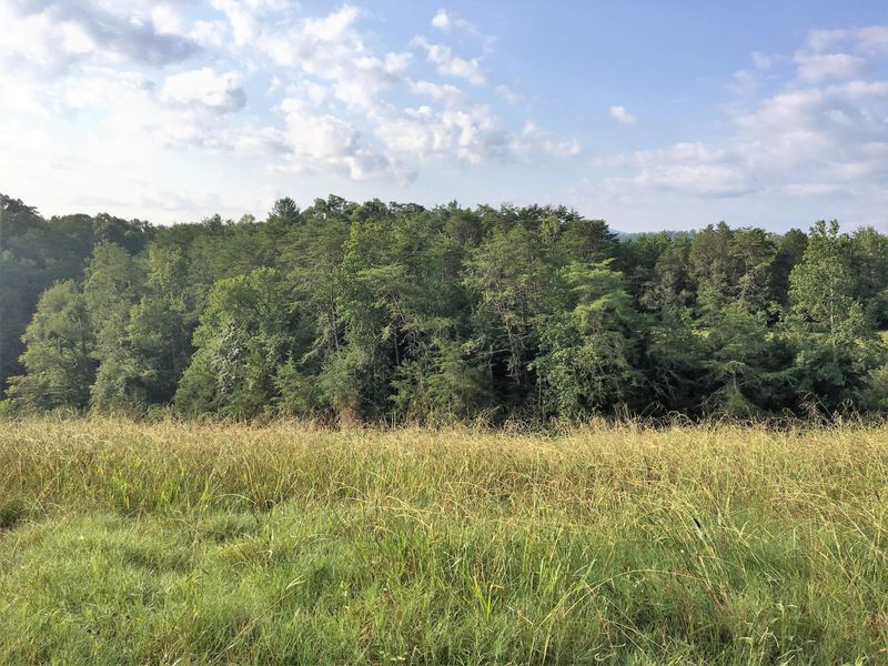 0 Dayne, Sevierville, TN 37876