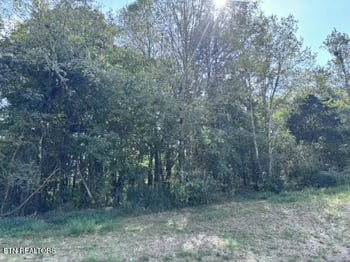 0 Decatur Pike, Athens, TN 37303