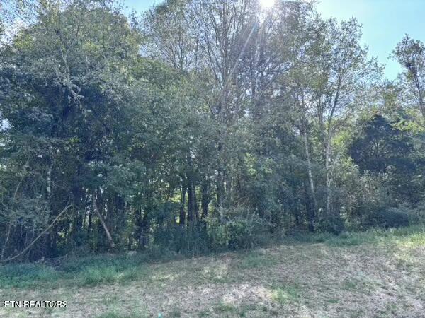 0 Decatur Pike, Athens, TN 37303