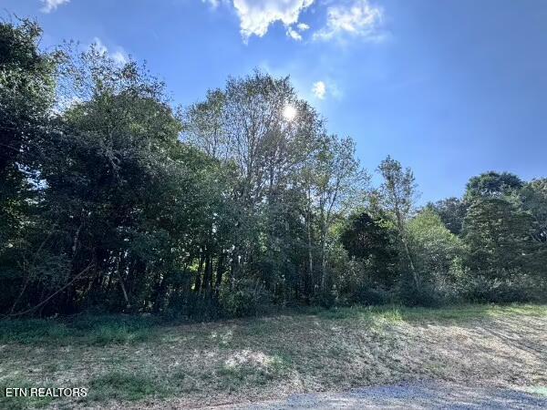 0 Decatur Pike, Athens, TN 37303