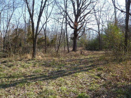 0 Deer Lodge Hwy, Sunbright, TN 37872