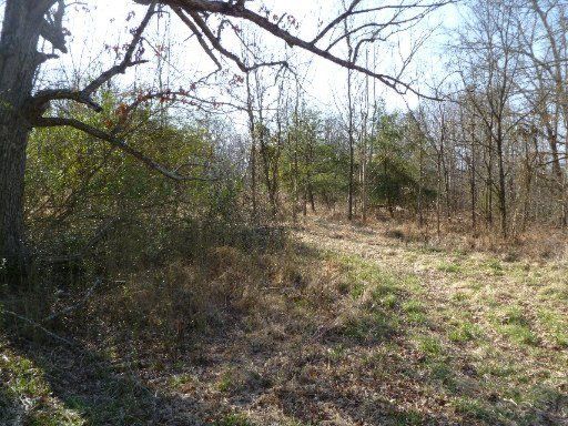 0 Deer Lodge Hwy, Sunbright, TN 37872