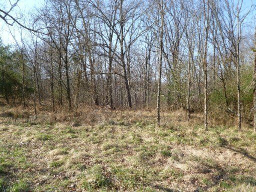 0 Deer Lodge Hwy, Sunbright, TN 37872