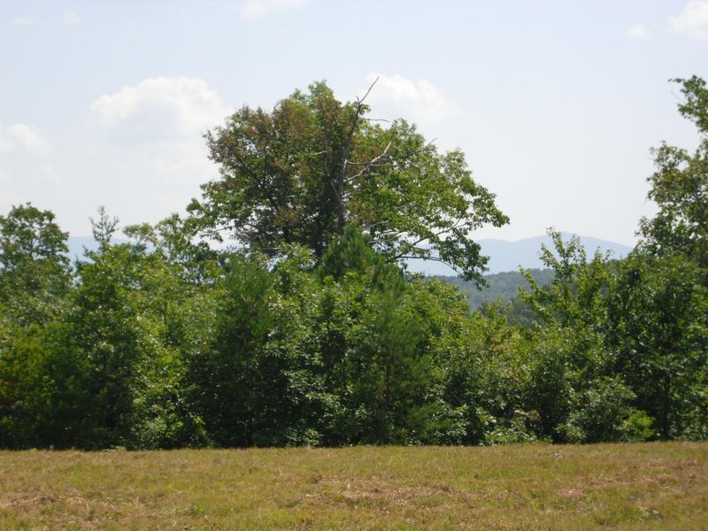 0 Deer Lodge, Sunbright, TN 37872