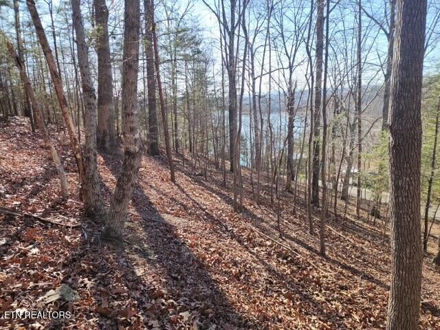 0 Deer Pond Cir, Lafollette, TN 37766