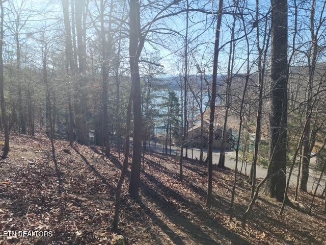 0 Deer Pond Cir, Lafollette, TN 37766