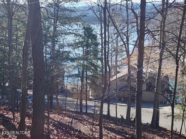 0 Deer Pond Cir, Lafollette, TN 37766