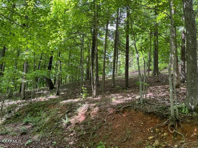 0 Deer Run Cir, Lafollette, TN 37766