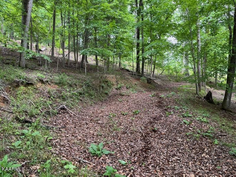 0 Deer Run Cir, Lafollette, TN 37766