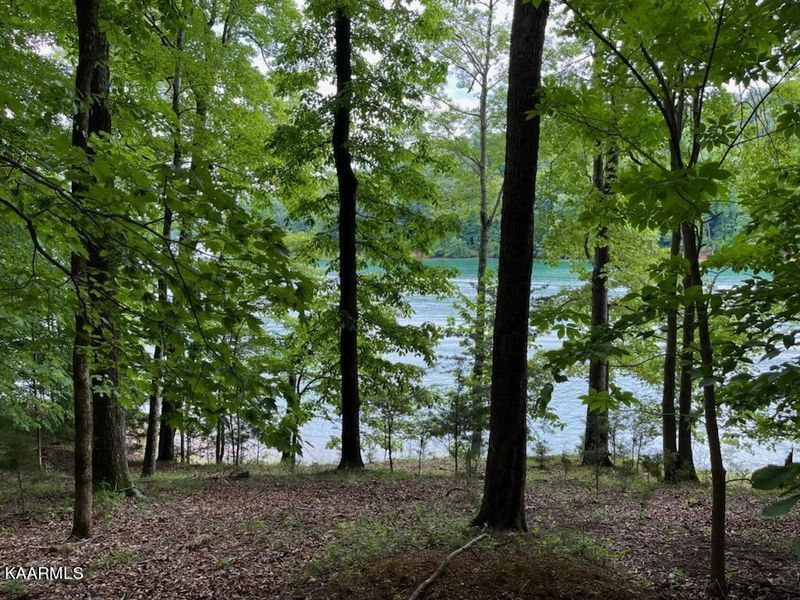 0 Deer Run Cir, Lafollette, TN 37766