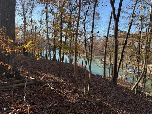 0 Deer Run Pl, Lafollette, TN 37766