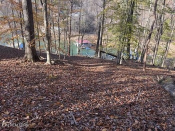 0 Deer Run Pl, Lafollette, TN 37766