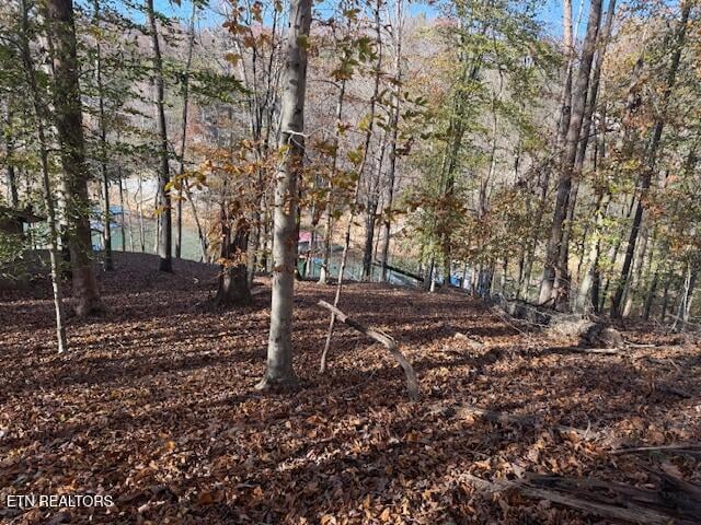 0 Deer Run Pl, Lafollette, TN 37766
