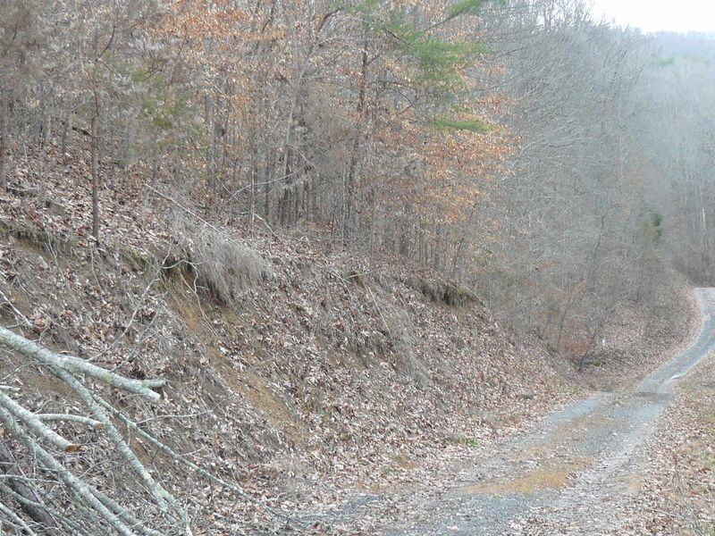 0 Deer Run Rd, Sharps Chapel, TN 37866