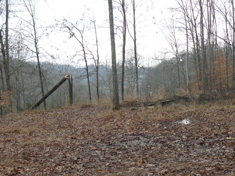 0 Deer Run Rd, Sharps Chapel, TN 37866