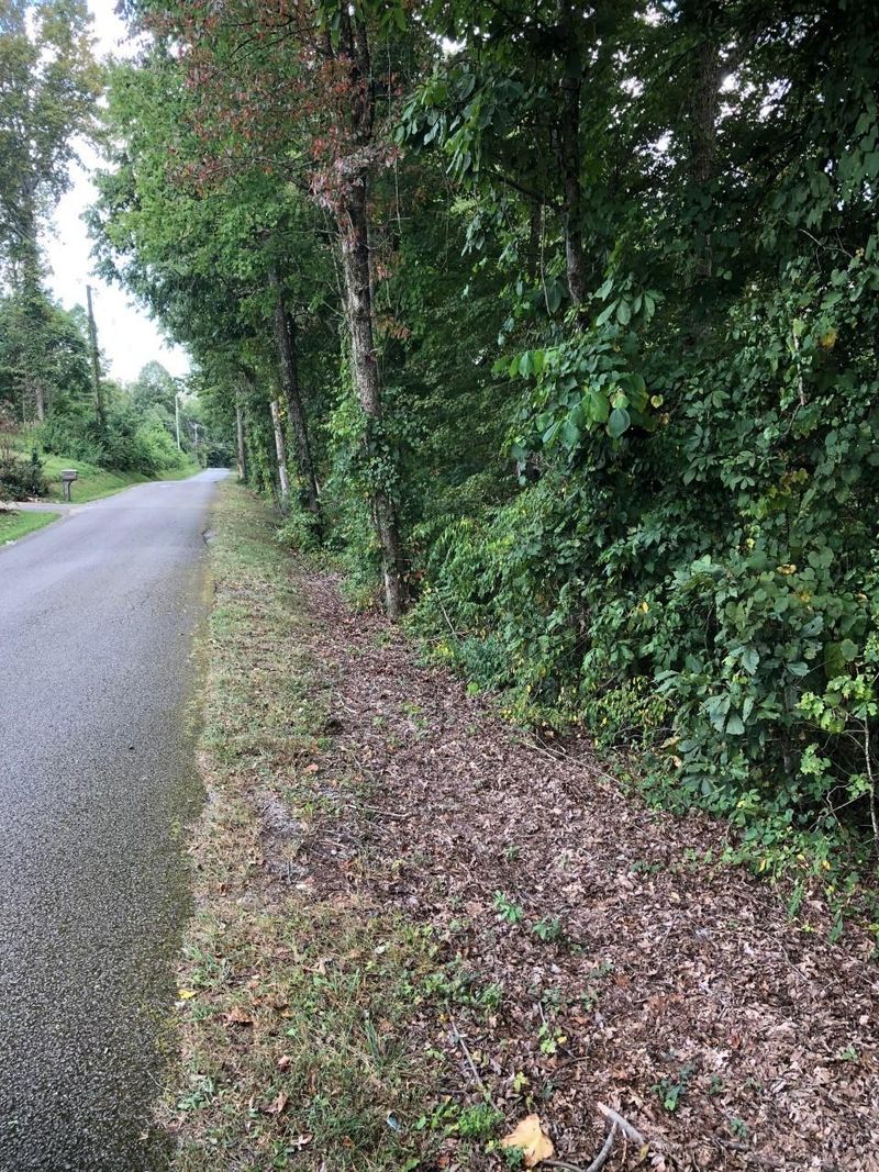 0 Deer Trail Ln, Rocky Top, TN 37769