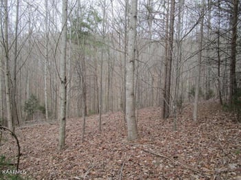 0 Deerridge Dr, Rutledge, TN 37861