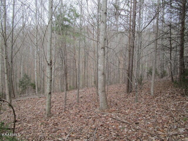 0 Deerridge Dr, Rutledge, TN 37861