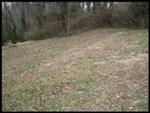 0 Delaware Ave, Oak Ridge, TN 37830