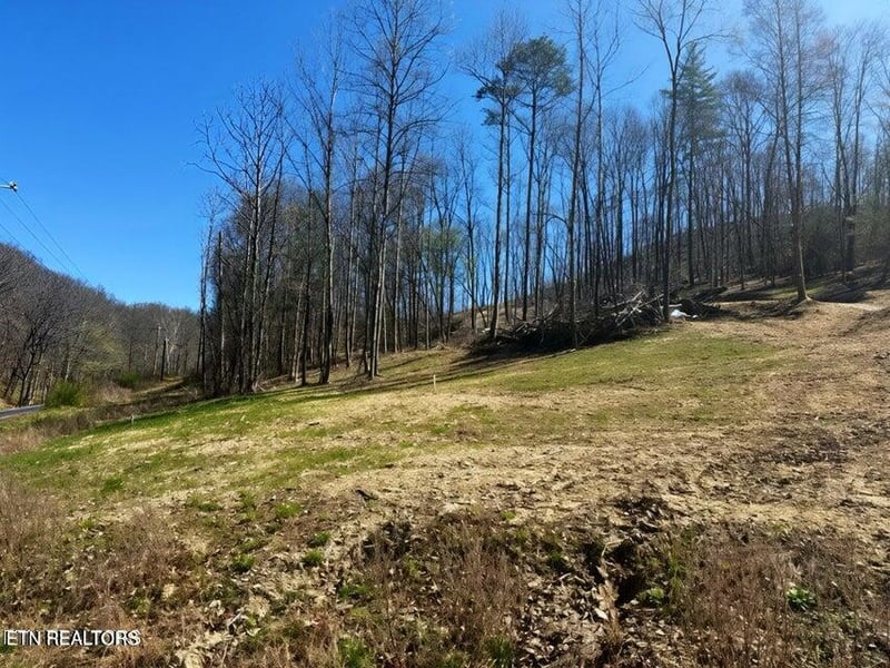 0 Demory Rd, Lafollette, TN 37766