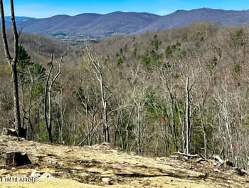 0 Demory Rd, Lafollette, TN 37766