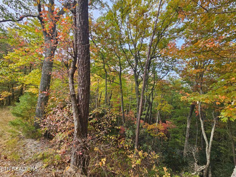0 Denton Ct, Sevierville, TN 37862