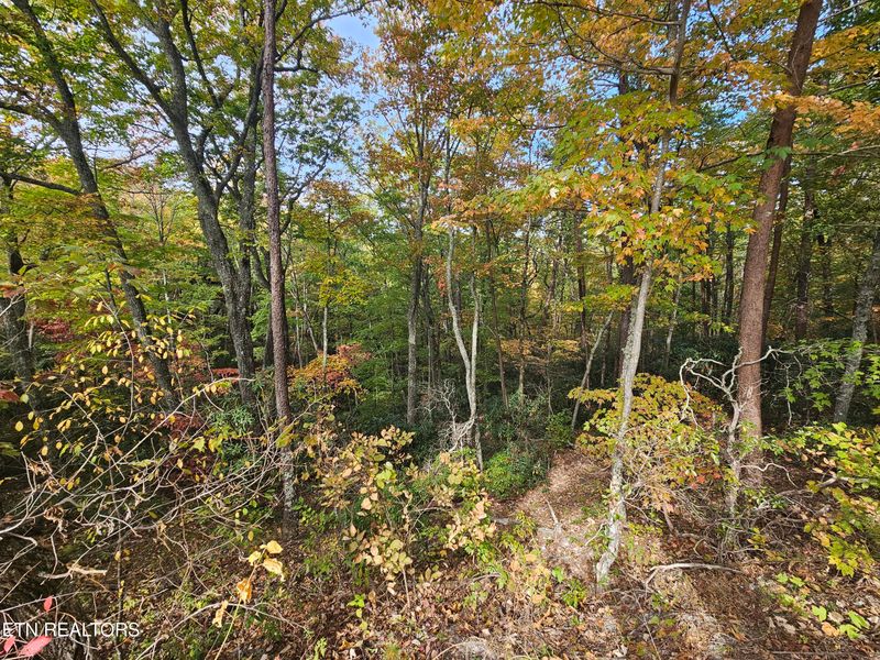 0 Denton Ct, Sevierville, TN 37862