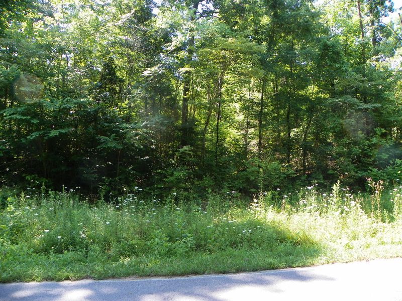 0 Derrick Rd, Sevierville, TN 37876