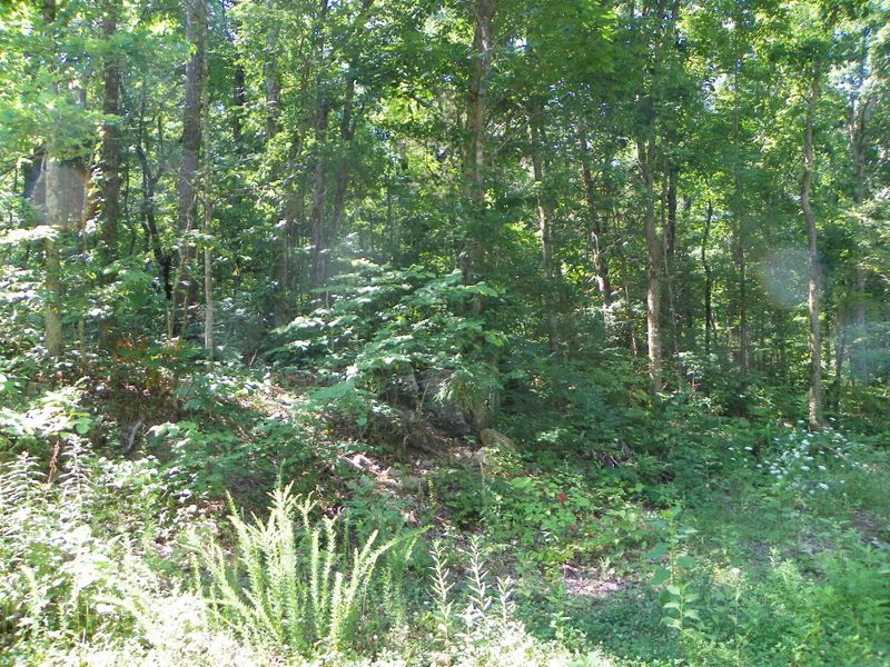 0 Derrick Rd, Sevierville, TN 37876