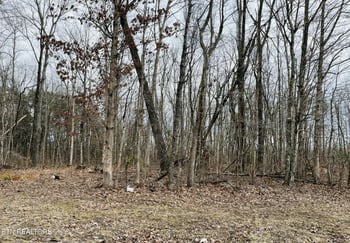 0 Diane Cir, Crossville, TN 38572
