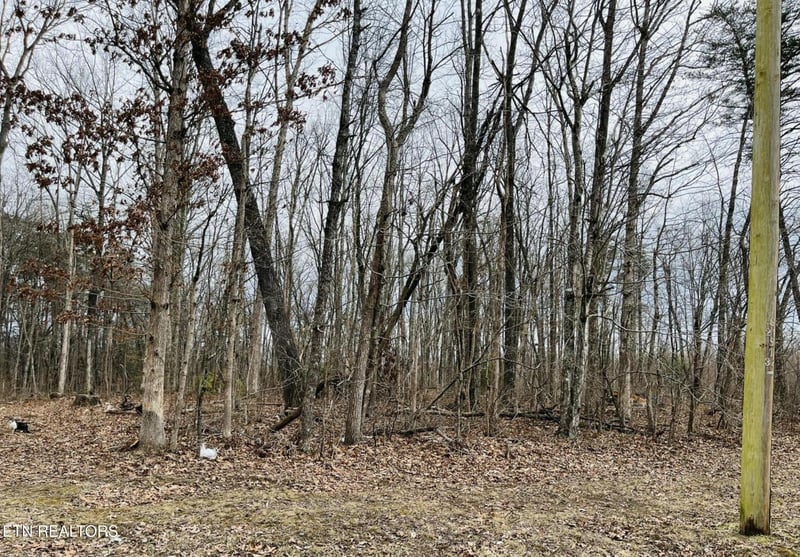 0 Diane Cir, Crossville, TN 38572