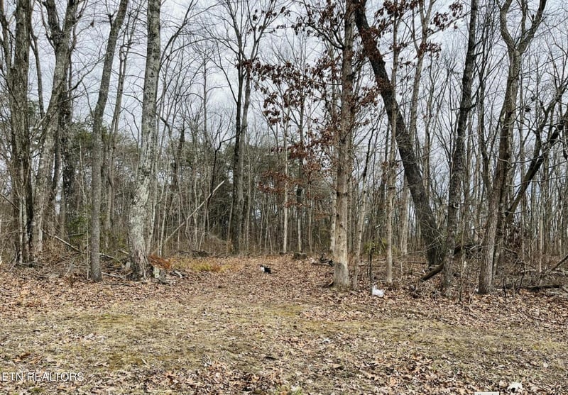0 Diane Cir, Crossville, TN 38572