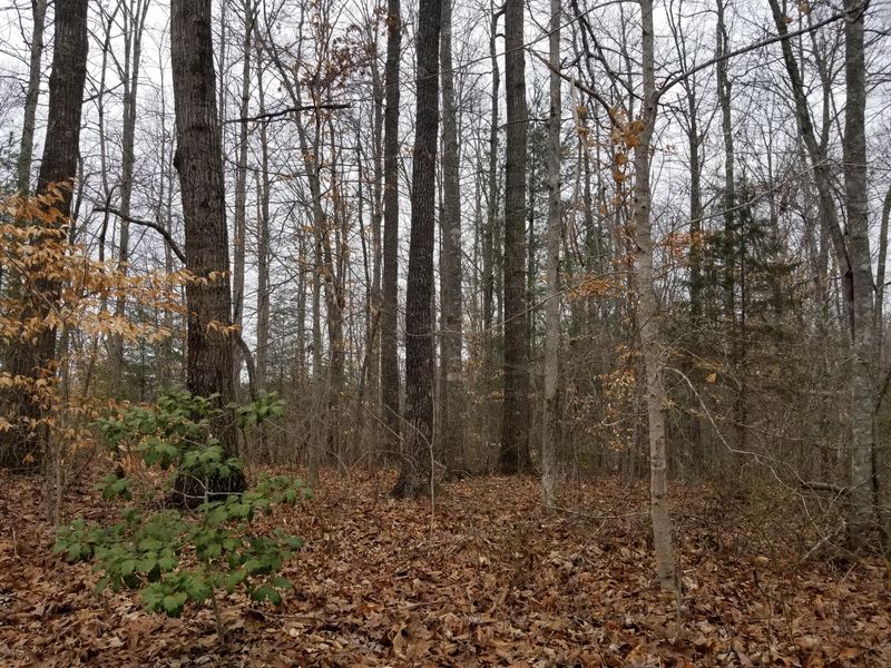 0 Ditney Tr, Pioneer, TN 37847