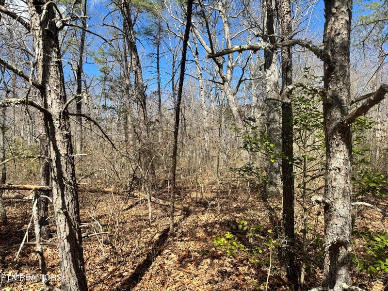 0 Divide Tr, Monterey, TN 38574