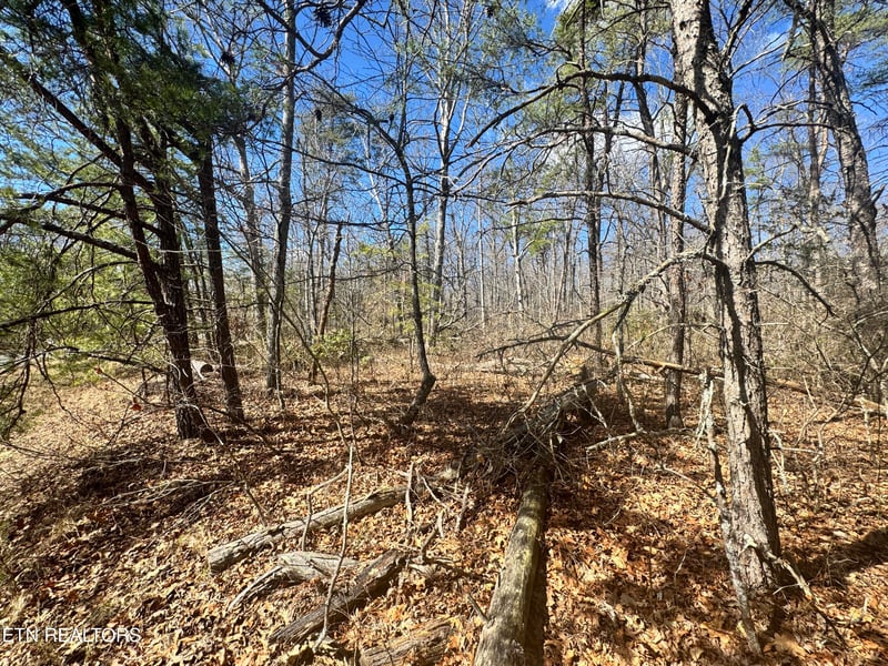 0 Divide Tr, Monterey, TN 38574