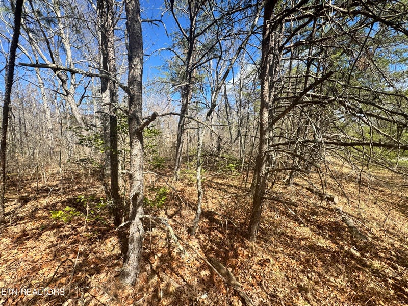 0 Divide Tr, Monterey, TN 38574